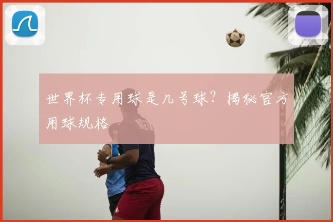 世界杯专用球是几号球?揭秘官方用球规格