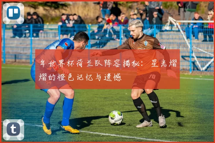 年世界杯荷兰队阵容揭秘:星光熠熠的橙色记忆与遗憾