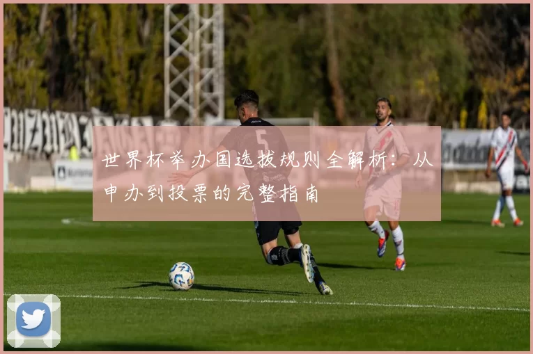 世界杯举办国选拔规则全解析：从申办到投票的完整指南