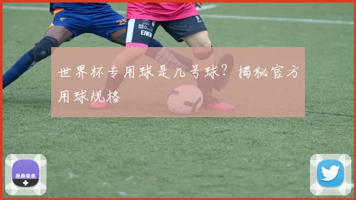 世界杯专用球是几号球？揭秘官方用球规格