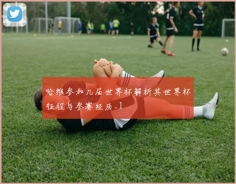 哈维参加几届世界杯解析其世界杯征程与参赛经历_1