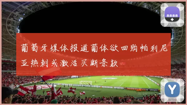 葡萄牙媒体报道葡体欲回购帕利尼亚热刺或激活买断条款